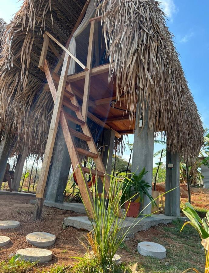 Sasy Tipis Otel Santa Catalina Dış mekan fotoğraf